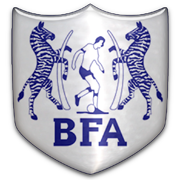 Away Team Logo