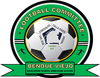 Home Team Logo