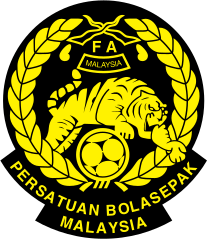 Home Team Logo