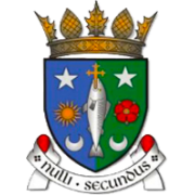 Home Team Logo