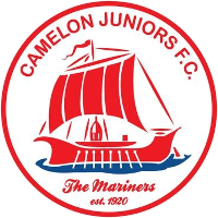 Home Team Logo
